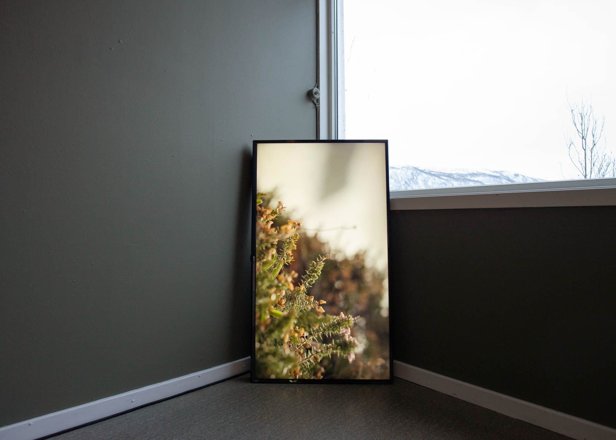 A vertical TV leans in the corner between a wall and a window. The TV displays heather.
