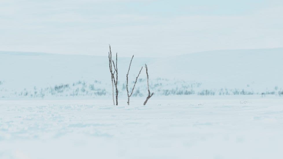 Stillbilde fra video