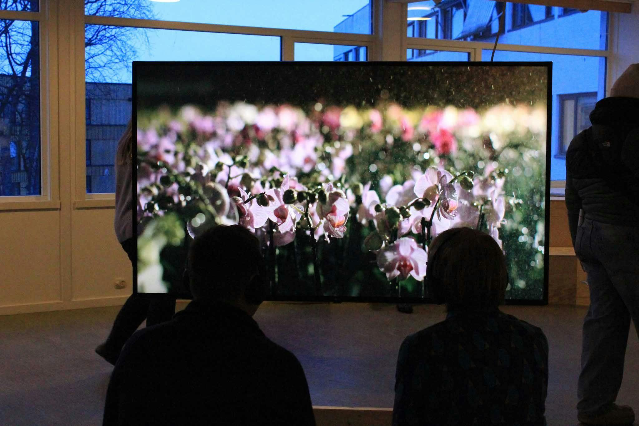 To personer sitter foran en stor TV-skjerm som viser blomster.